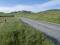 Rural Field in California: Vibrant Agriculture