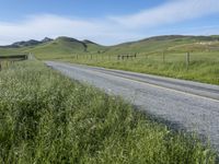 Rural Field in California: Vibrant Agriculture