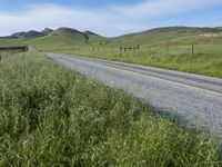 Rural Field in California: Vibrant Agriculture