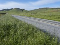 Rural Field in California: Vibrant Agriculture