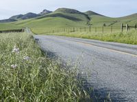 Rural Field in California: Vibrant Agriculture