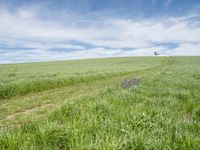 Rural Germany: Agriculture Road Through Lush Fields