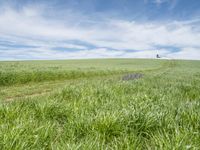 Rural Germany: Agriculture Road Through Lush Fields