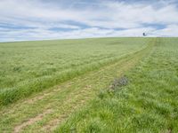 Rural Germany: Agriculture Road Through Lush Fields