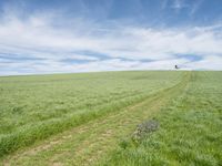 Rural Germany: Agriculture Road Through Lush Fields