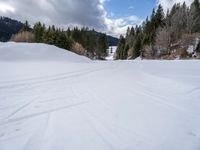 cross country skiing in the middle of winter time with trees lining both sides of the road