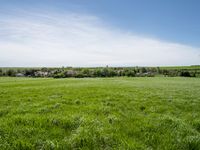 a green pasture field is surrounded by a village and blue sky with clouds overhead in a rural setting