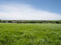 a green pasture field is surrounded by a village and blue sky with clouds overhead in a rural setting