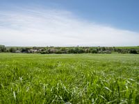 a green pasture field is surrounded by a village and blue sky with clouds overhead in a rural setting