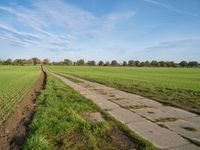 a dirt path in an open field with grass on either side of the field and grass on each side of it