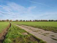 a dirt path in an open field with grass on either side of the field and grass on each side of it