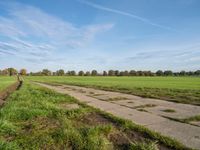 a dirt path in an open field with grass on either side of the field and grass on each side of it