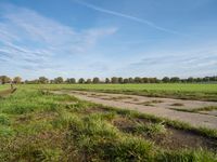 a dirt path in an open field with grass on either side of the field and grass on each side of it