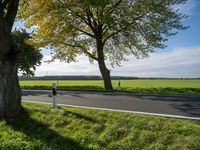 Rural Germany Landscape in Autumn 002