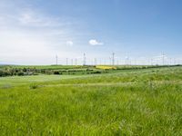 Rural Germany Landscape: Green Fields and Open Spaces