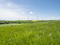 Rural Germany Landscape: Green Fields and Open Spaces