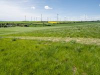 Rural Germany Landscape: Green Fields and Open Spaces