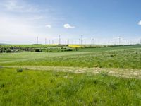 Rural Germany Landscape: Green Fields and Open Spaces