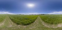 a panoramic view of two paths running through a grass field and the sky is partially cloudy