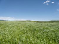 Rural Germany: A Plain Open Space