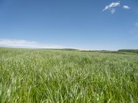 Rural Germany: A Plain Open Space