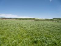 Rural Germany: A Plain Open Space