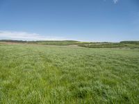 Rural Germany: A Plain Open Space