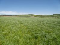 Rural Germany: A Plain Open Space