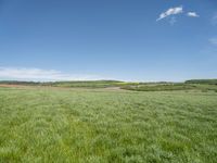 Rural Germany: A Plain Open Space