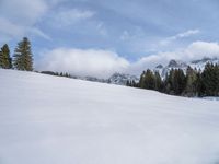 a woman riding skis across snow covered ground near mountains and pine trees, under a blue sky with clouds