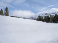 a woman riding skis across snow covered ground near mountains and pine trees, under a blue sky with clouds