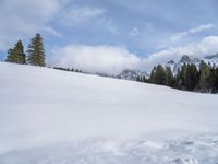 a woman riding skis across snow covered ground near mountains and pine trees, under a blue sky with clouds