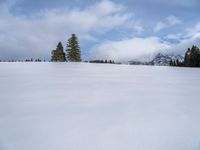 a woman riding skis across snow covered ground near mountains and pine trees, under a blue sky with clouds