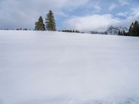 a woman riding skis across snow covered ground near mountains and pine trees, under a blue sky with clouds