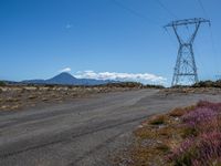 Rural Gravel Road in New Zealand's North Island