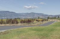 Rural Highland Canada: Mountain, Grass, Trees 001