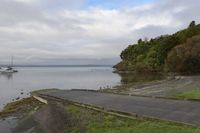 a body of water with boats near the shore and a forest area on the hill