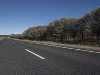 a long stretch of highway with trees and trees on either side of it near the highway