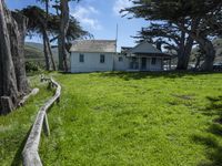 the home is in a grassy field by some trees and the road beside it runs along the property