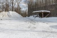 the house is made of wood, covered with snow and surrounded by piles of dirt