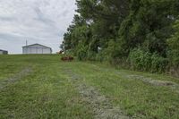 Rural Iowa: An Open Road Surrounded by Vegetation and Fields