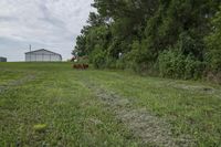 Rural Iowa: An Open Road Surrounded by Vegetation and Fields
