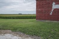 Rural Iowa: A Pasture Field