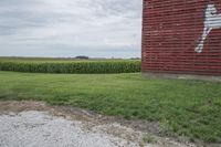 Rural Iowa: A Pasture Field