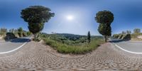 the view of a mountain, the road and the trees from outside the 360 lens