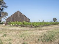 Rural Land Lot in California: Clear Skies and Serene Views