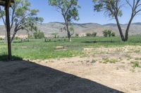 there is some hay and trees with mountains in the background, and blue sky above