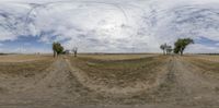 three different pictures in a field with a telephone line and some trees on either side of them