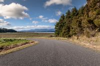 Rural Landscape: Asphalt Road in Daytime