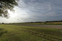 two large grain bins sit in the center of a field, surrounded by silos